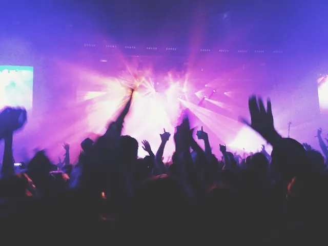 ライブに盛り上がる観衆